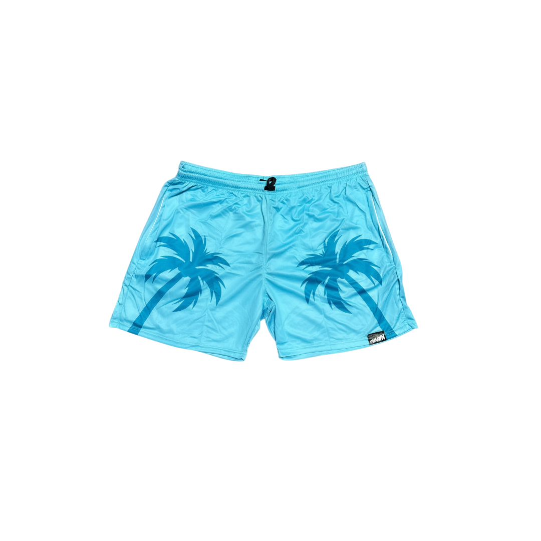 Sand At The Beach Shorts in Baby Blue